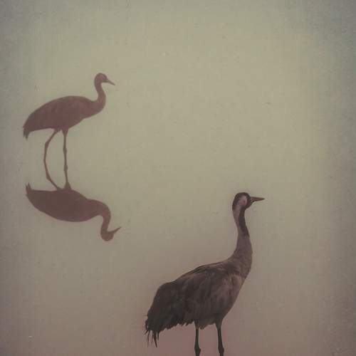 Photo #7007136