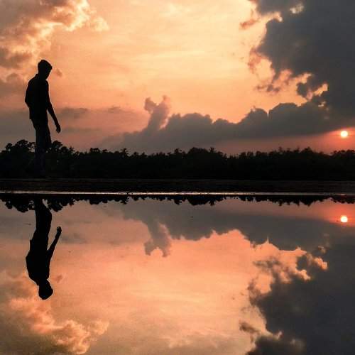 Photo #7007232