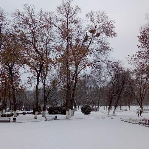 Photo #7007318