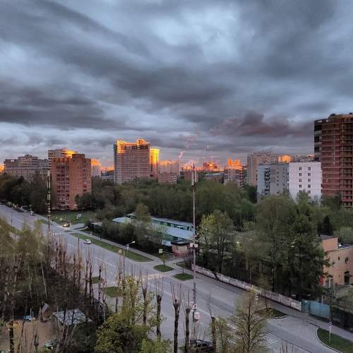 Photo #7007321