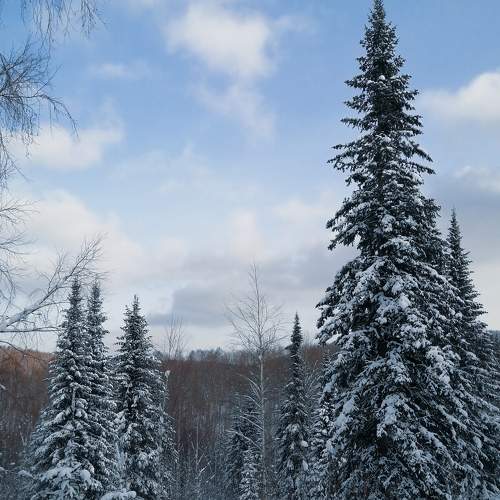 Photo #7007382