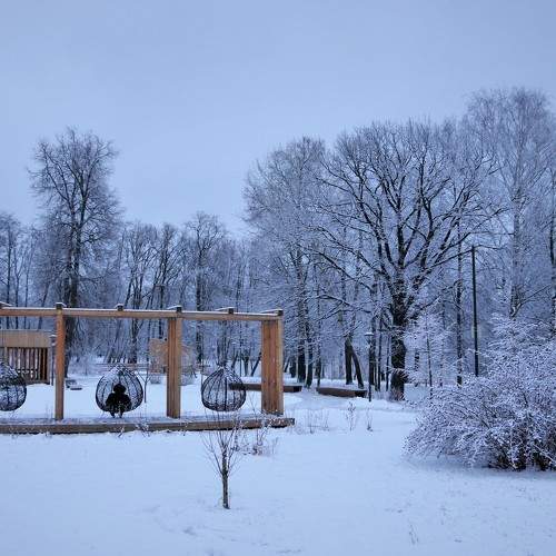 Photo #7007475