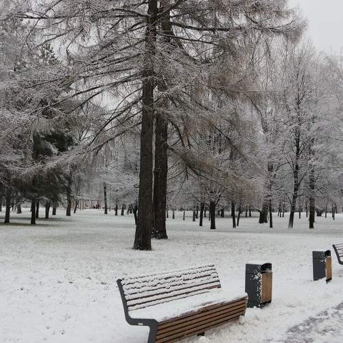 Photo #7007478