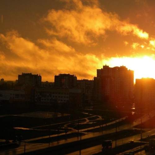 Photo #7008190