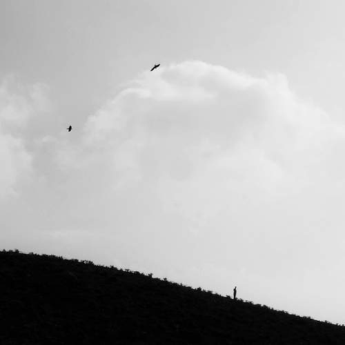 Photo #7008212