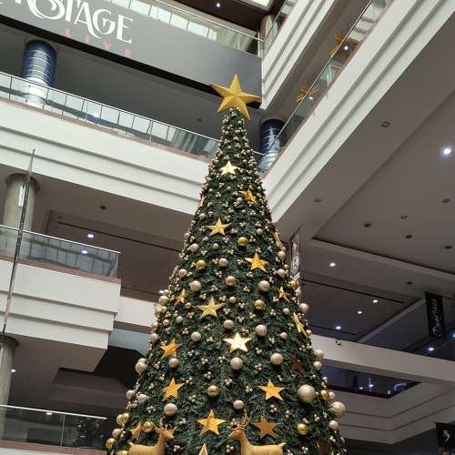 Photo #7008503