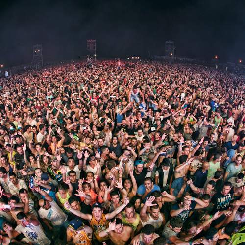 Photo #7008616