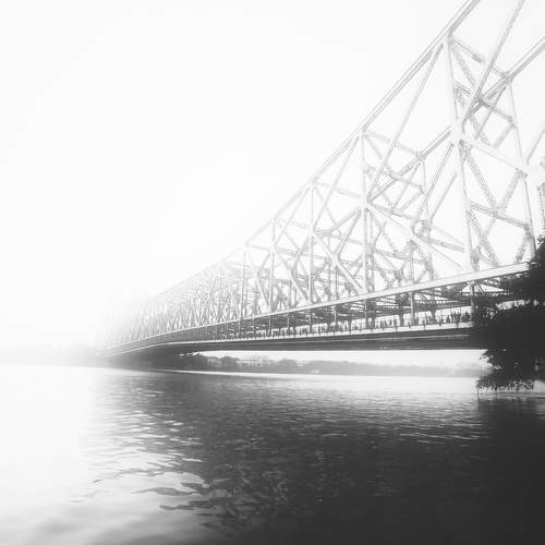 Photo #7008664