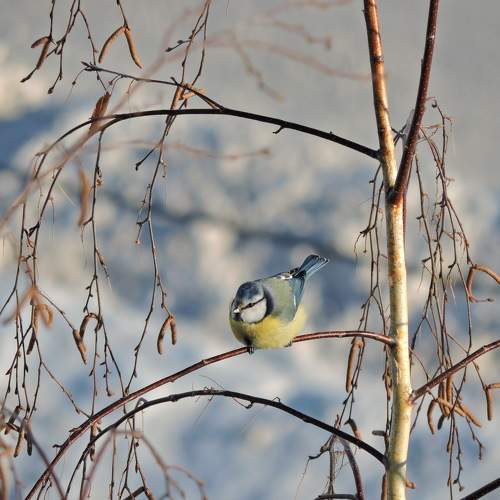 Photo #7009018