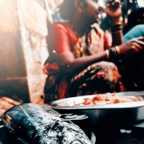 Photo #7009304