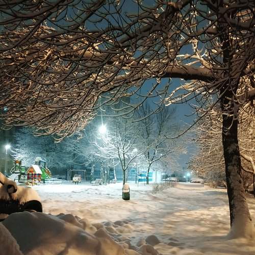 Photo #7009330