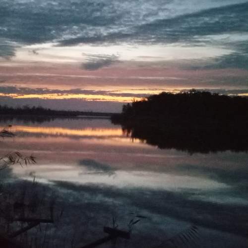 Photo #7009496