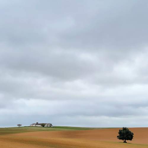 Photo #7009523