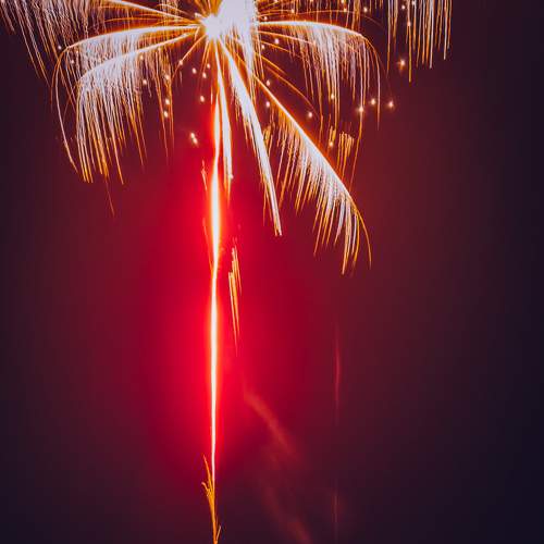 Photo #7009558