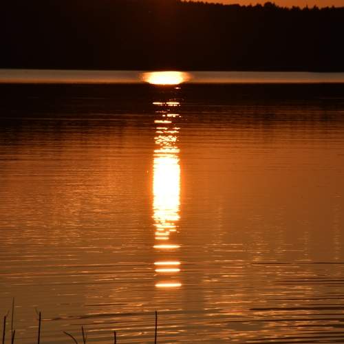 Photo #7009929