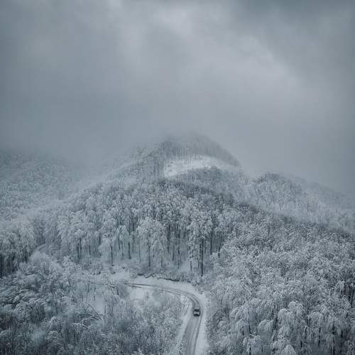 Winter road
