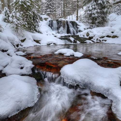 Photo #7010149
