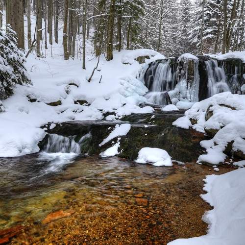 Photo #7010161
