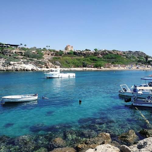 Photo #7010205