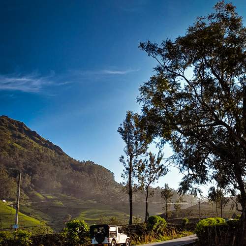 Photo #7010233