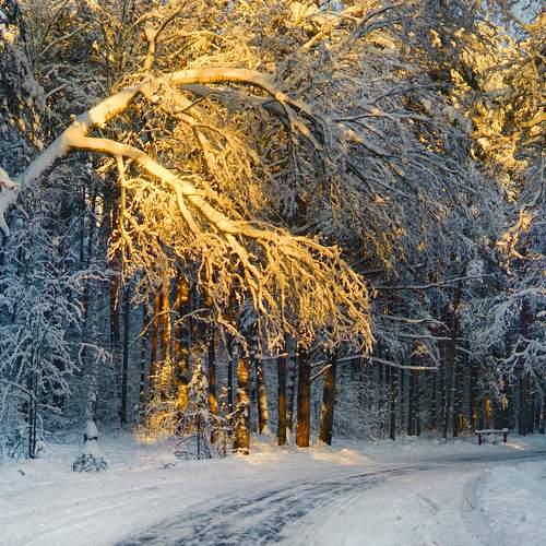 Photo #7010282