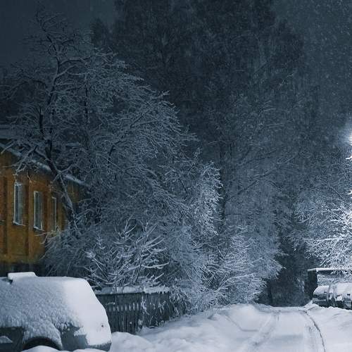 Photo #7010283