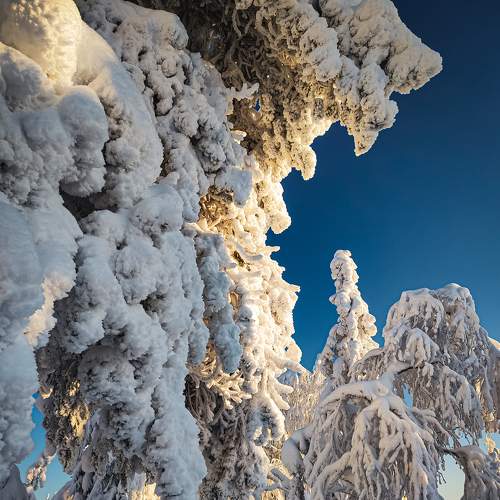 Photo #7010592