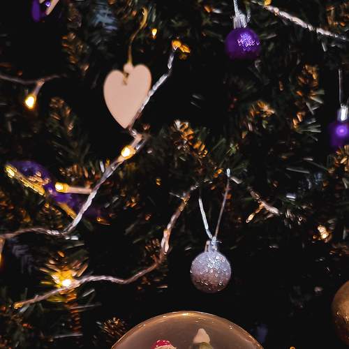 Photo #7010618