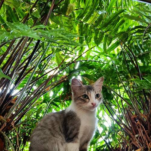 Photo #7010717