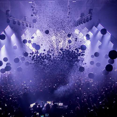 Photo #7010820