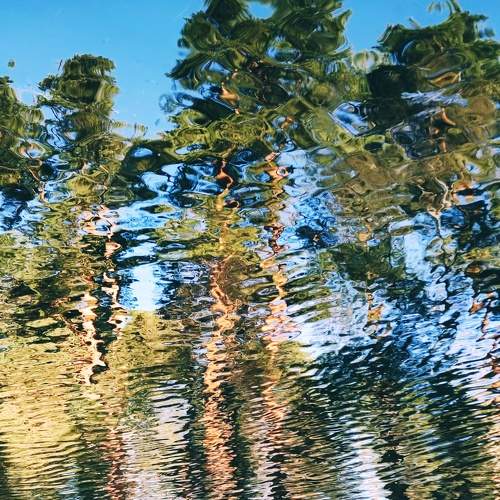 Photo #7011002