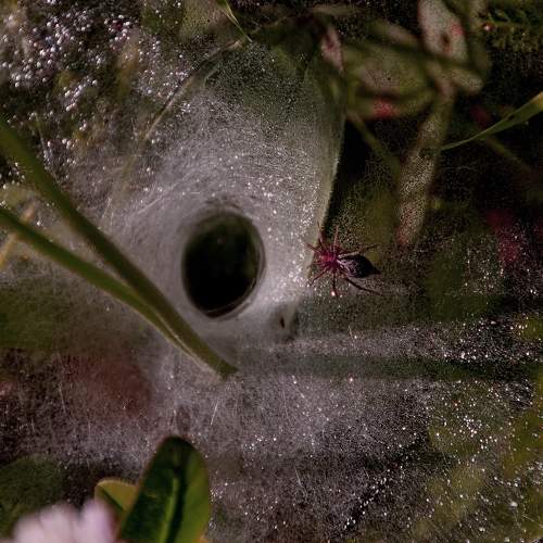 Photo #7011365