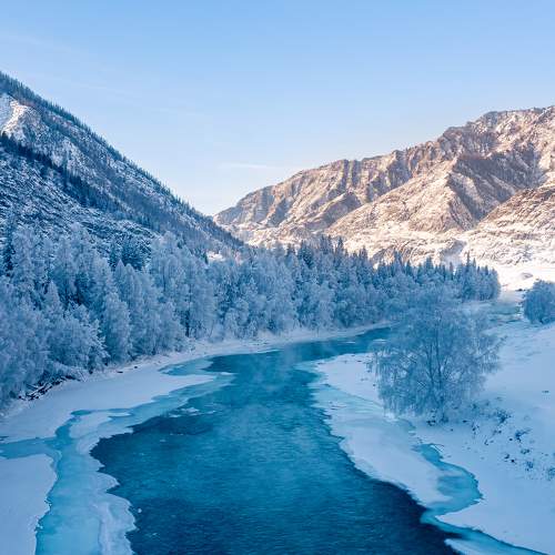 Photo #7011425