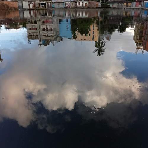 Photo #7011478