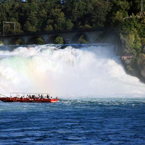 Photo #7011876