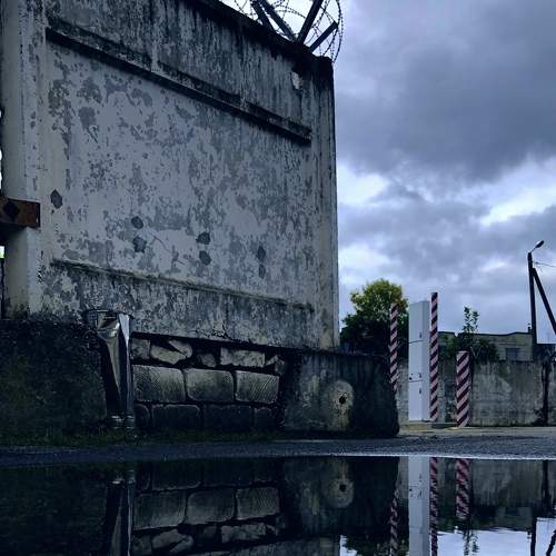 Photo #7012241