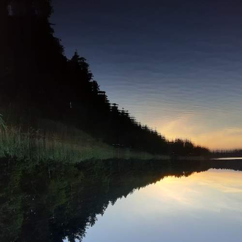 Photo #7012266