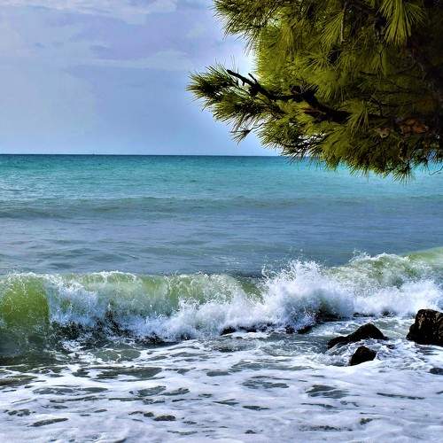 Photo #7012696