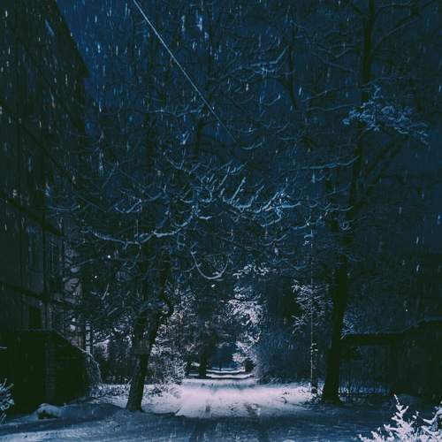 Photo #7012834