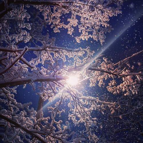 Photo #7012841