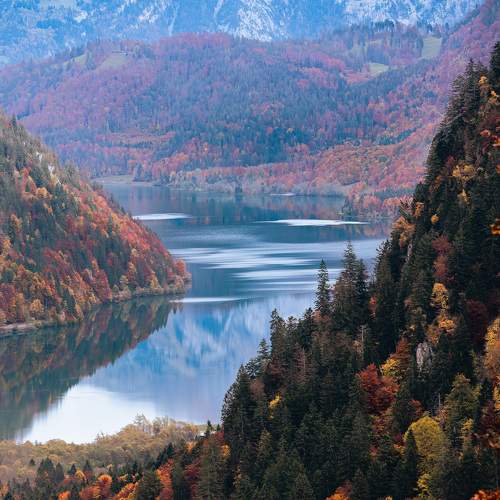 Photo #7012963