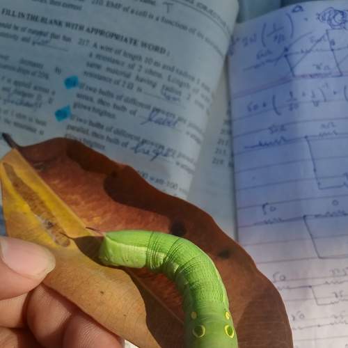 Photo #7012982