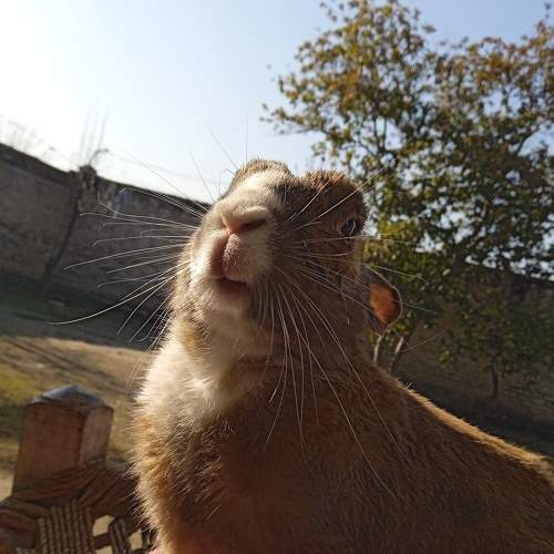 Photo #7012997