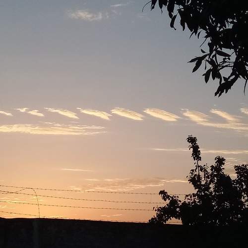 Photo #7013007