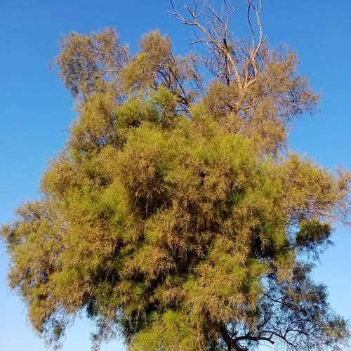 Photo #7013266