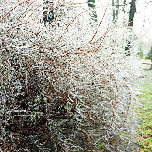 Photo #7013402
