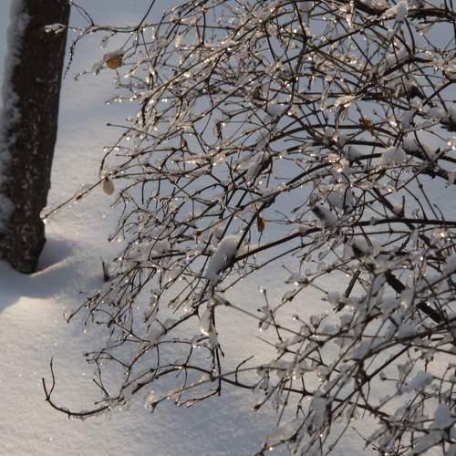 Photo #7013496