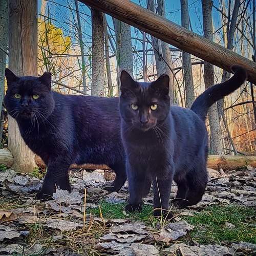 Photo #7013939
