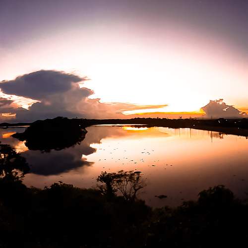 Photo #7014027
