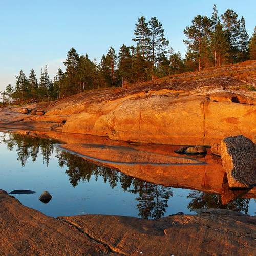 Photo #7014330
